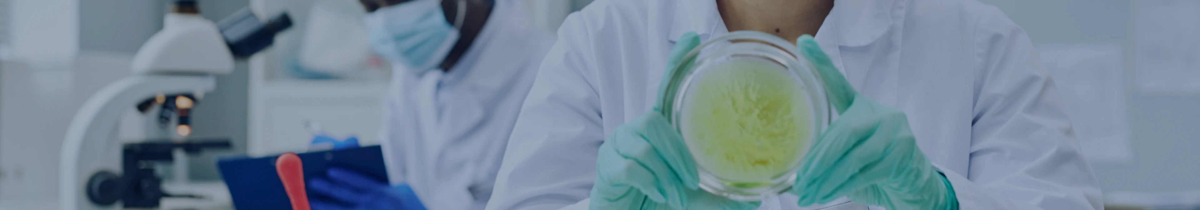 上毅生物科技股份有限公司