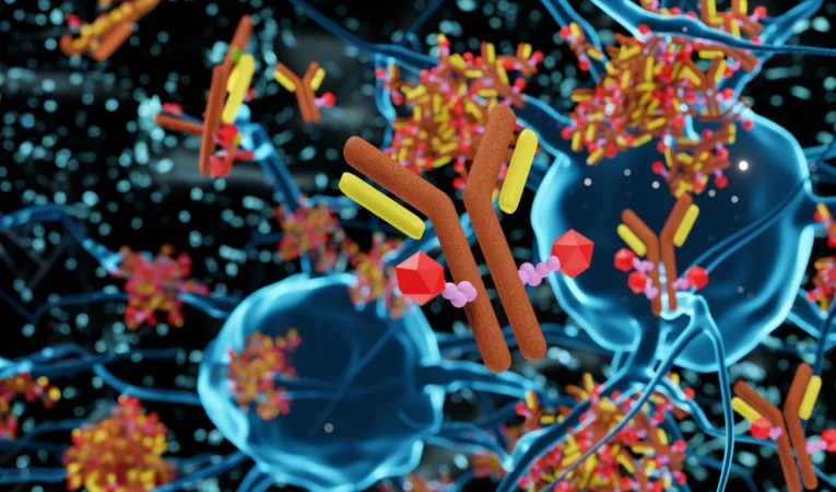 Enolase-1 Antibody Drug Conjugate (ADC)